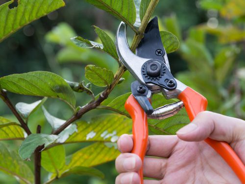 Stihl takkenschaar snoeischaar