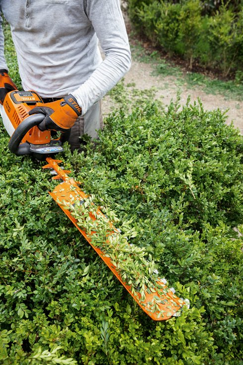 overzien Herkenning sensatie Stihl accu heggenschaar HSA 86 45cm, zonder accu en lader. – Blokland Tuin en Parkmachines overzien Herkenning sensatie Stihl accu heggenschaar HSA 86 45cm, zonder accu en lader. – Blokland Tuin en Parkmachines