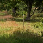 Insultimber (FSC®) tussenpaal (3,8 x 3,8cm - 1,50 meter) - Afbeelding 2