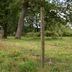 Insultimber (FSC®) tussenpaal (3,8 x 3,8cm - 1,80 meter) - Afbeelding 2