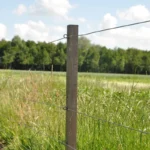 Insultimber (FSC®) tussenpaal (3,8 x 3,8cm - 1,80 meter) - Afbeelding 3