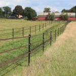 Ecopaal 1,50m (4 stuks) - Afbeelding 3