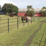 Ecopaal 1,85m (4 stuks) - Afbeelding 5