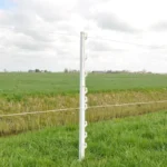Vario Paal (10 stuks) - Afbeelding 5