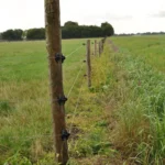 W-isolator (zwart, 25 stuks) - Afbeelding 2