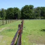 Afstandschroefisolator XDI (hout, 18cm, 10 stuks) - Afbeelding 4