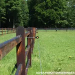 Afstandschroefisolator XDI (hout, 18cm, 100 stuks) - Afbeelding 4