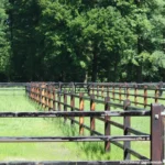 Afstandschroefisolator XDI (hout, 18cm, 100 stuks) - Afbeelding 6