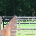 Afstandschroefisolator XDI (hout, 18cm, 100 stuks) - Afbeelding 8