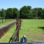 Afstandschroefisolator XDI (hout, 18cm, 100 stuks) - Afbeelding 9