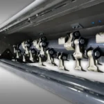 Klepelmaaier Jansen EFGC-220 cm, mulchmaaier, maaiwerk - Afbeelding 7