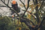 Stihl Gta 40 PRO snoeizaag met 2 accu's - Afbeelding 5