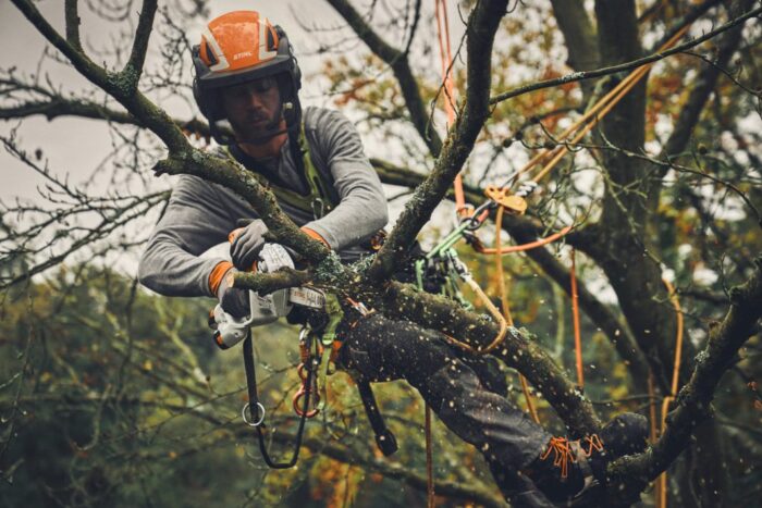 Stihl Gta 40 PRO snoeizaag met 2 accu's - Afbeelding 5