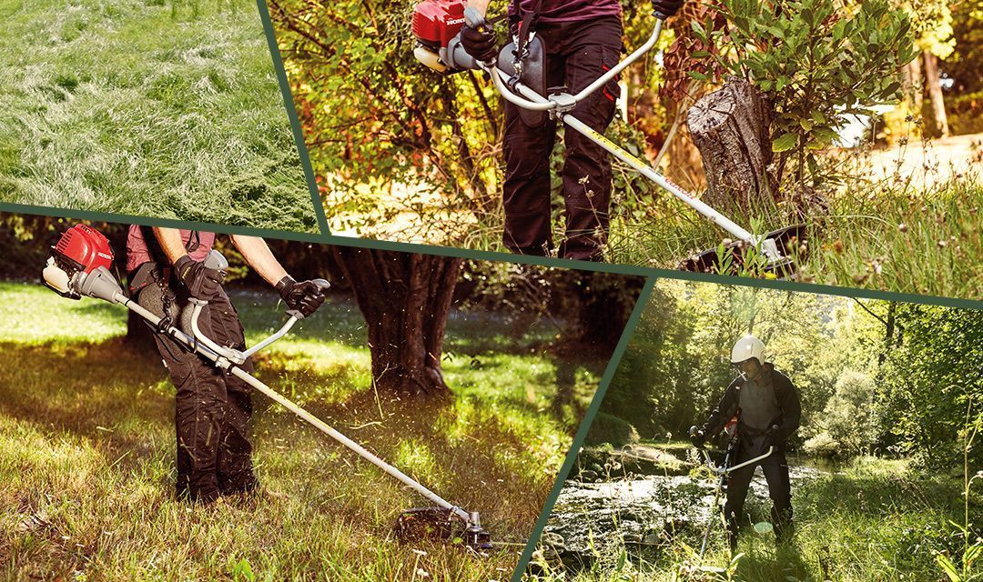 HONDA-UMK-450-UE-2 Honda UMK450UE bosmaaier 50cc PRO - Afbeelding 2