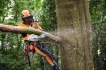 Stihl Actie set Accu tophandle zaag MSA220TC met accu en lader - Afbeelding 5