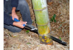 Houtzaag Bigboy 360-13 - Afbeelding 3