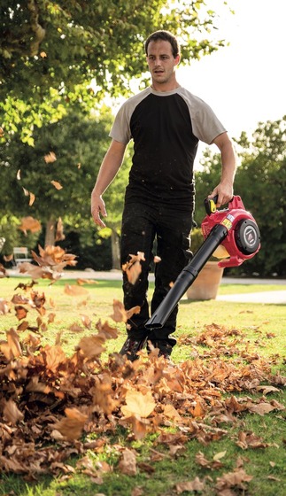 Honda HHB25 E krachtige 4-takt bladblazer - Afbeelding 4