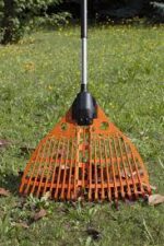 Magic Fly bladhark - Afbeelding 5