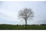 Stokzaag Hayate 3800-6.5 2-delig - Afbeelding 5