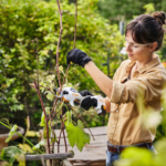 Stihl ASA 20 accu snoeischaar incl. Accu en lader - Afbeelding 4