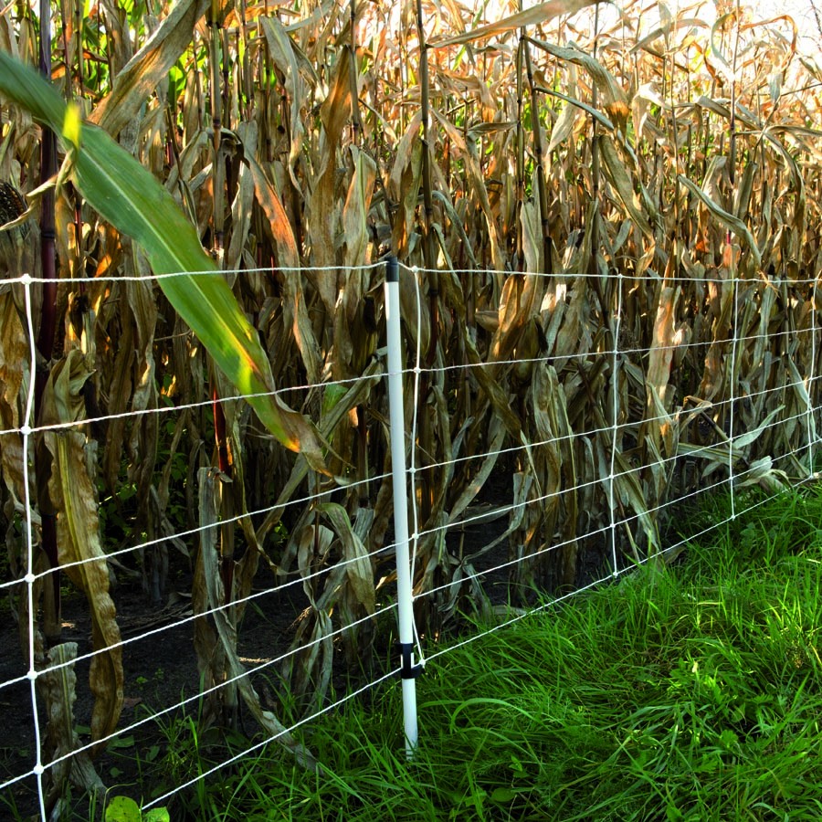 Wilde zwijnen schrikdraadnet, 75cm, 50m (enkele pen) - Afbeelding 2